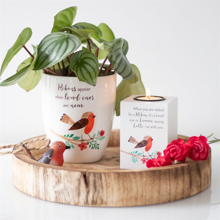 Winter Robin Ceramic Plant Pot - Image 3