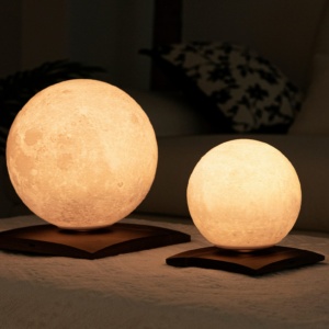Smart LunaSpin Lamp