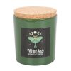 Luna Moth White Sage Candle - Image 2
